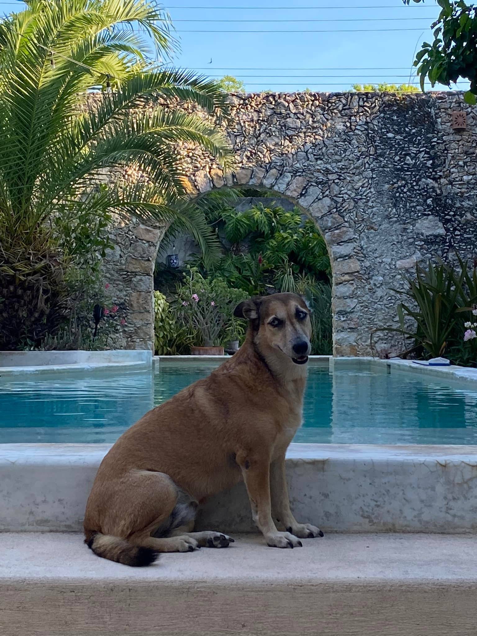 Crystal, Mexico